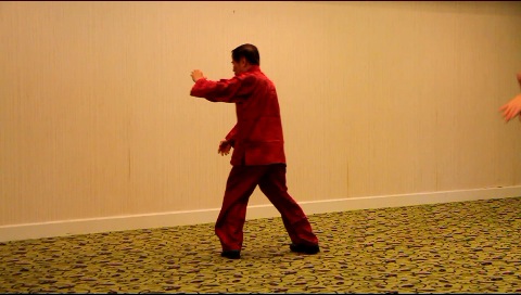 Yang Style Tai Chi Chuan, Taijiquan