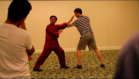 Yang Style Taijiquan