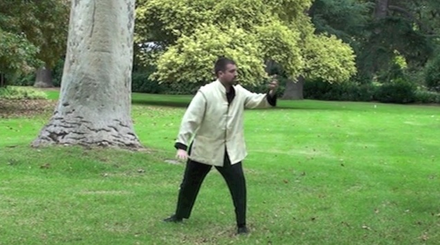  Wudang Taijiquan