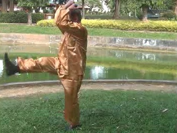 Xingyiquan 12 Animal-Form Continuous Fist