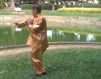 Xingyiquan 12 Animal-Form Continuous Fist