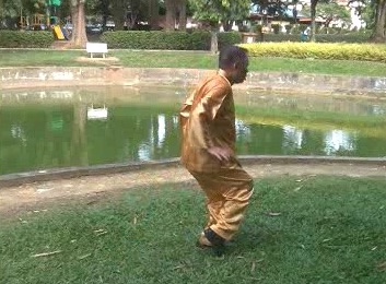 Xingyiquan 12 Animal-Form Continuous Fist