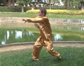 Xingyiquan 12 Animal-Form Continuous Fist