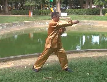 Xingyiquan 12 Animal-Form Continuous Fist