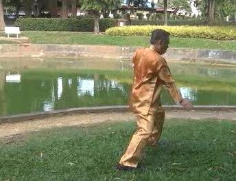 Xingyiquan 12 Animal-Form Continuous Fist