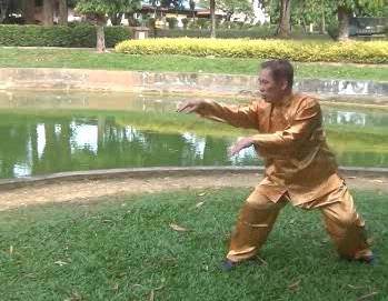 Xingyiquan 12 Animal-Form Continuous Fist