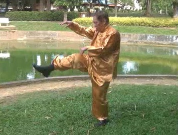 Xingyiquan 12 Animal-Form Continuous Fist