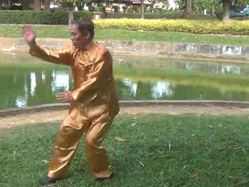 Xingyiquan 12 Animal-Form Continuous Fist