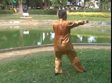 Xingyiquan 12 Animal-Form Continuous Fist