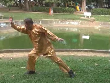 Xingyiquan 12 Animal-Form Continuous Fist