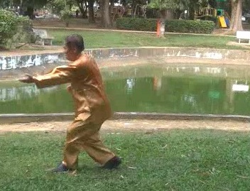 Xingyiquan 12 Animal-Form Continuous Fist