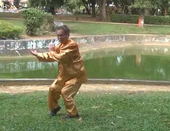 Xingyiquan 12 Animal-Form Continuous Fist