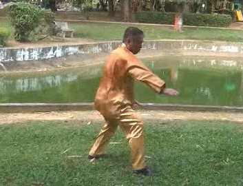 Xingyiquan 12 Animal-Form Continuous Fist