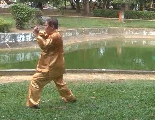 Xingyiquan 12 Animal-Form Continuous Fist