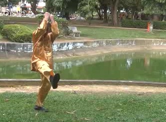 Xingyiquan 12 Animal-Form Continuous Fist