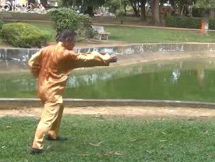 Xingyiquan 12 Animal-Form Continuous Fist