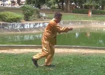 Xingyiquan 12 Animal-Form Continuous Fist