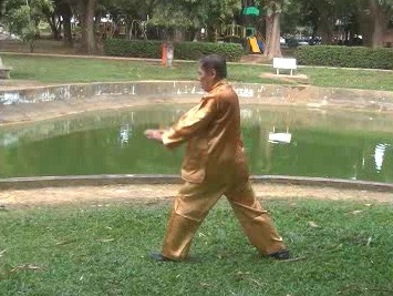 Xingyiquan 12 Animal-Form Continuous Fist