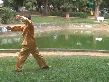 Xingyiquan 12 Animal-Form Continuous Fist