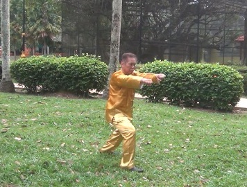 Xingyiquan 12-Animal Forms