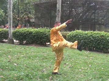 Xingyiquan 12-Animal Forms