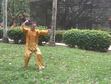 Xingyiquan 12-Animal Forms