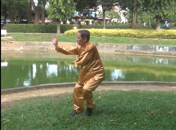 Xingyiquan 12 Animal-Form Continuous Fist 