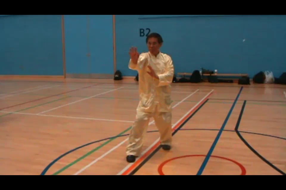 Xingyiquan Hsing I Chuan