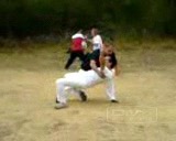 Felling in Taijiquan