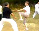 Taijiquan sparring