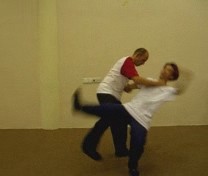 hip throw