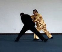 Taijiquan Throws