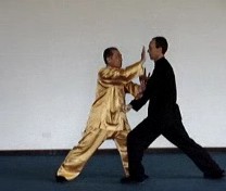 Taijiquan Counters against Strikes