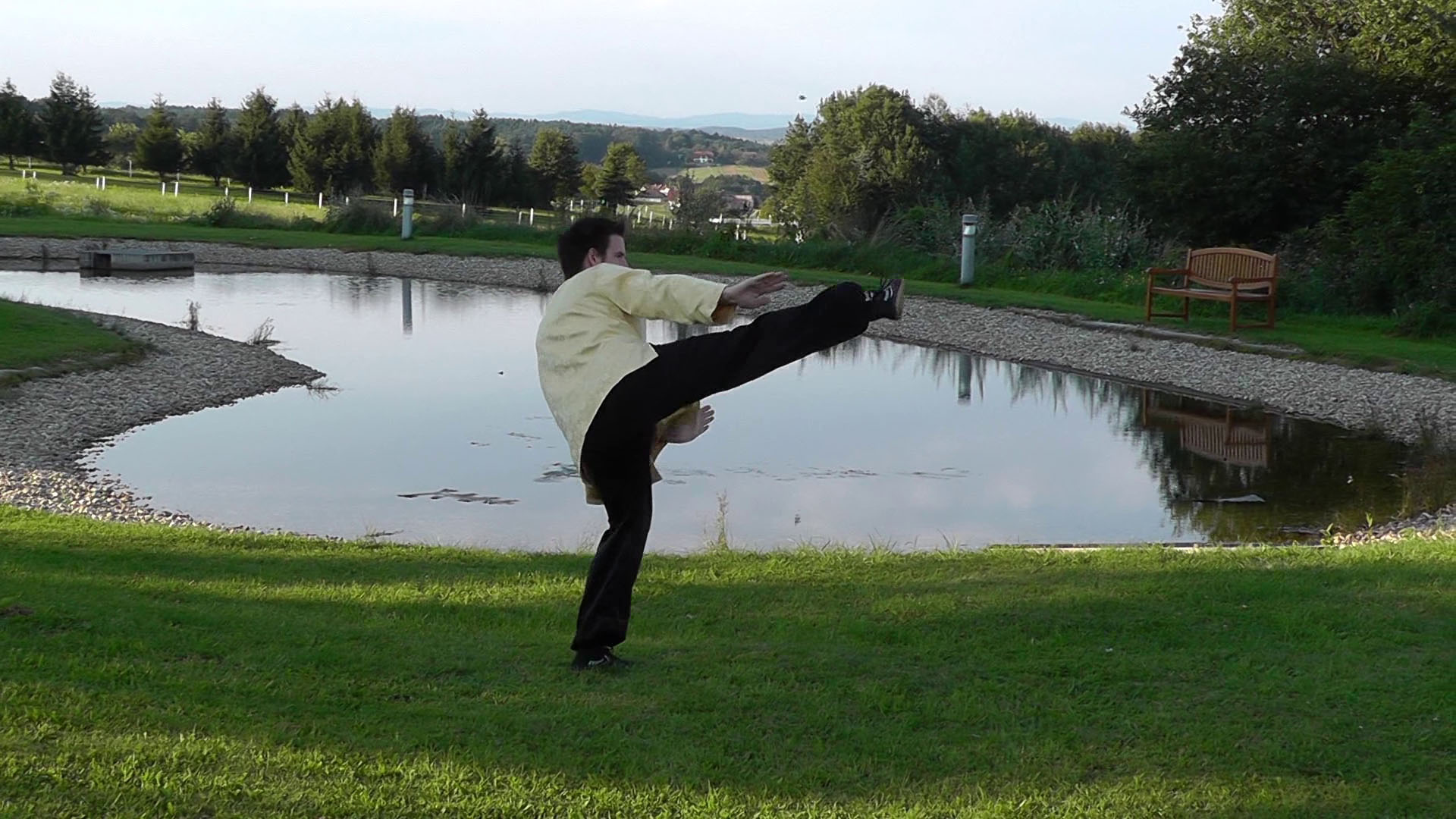 White Crane Flaps Wings